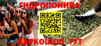 СК Краснознаменск