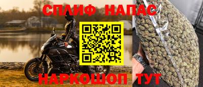 СК Краснознаменск