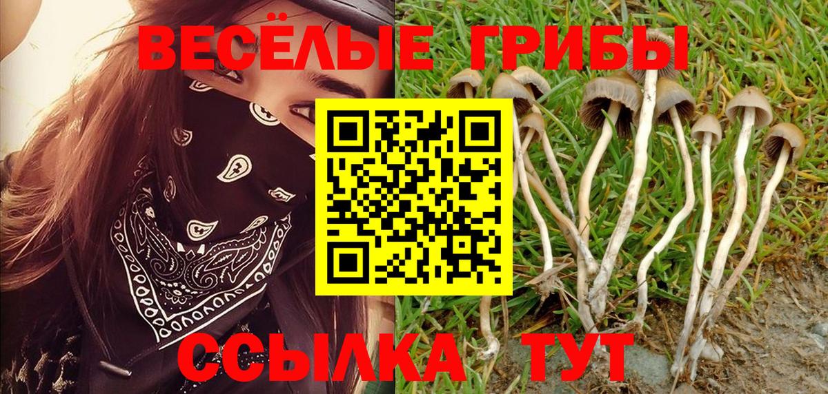 Галлюциногенные грибы GOLDEN TEACHER Усть-Илимск